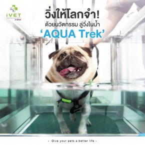 Run for the world to remember! With this new technology called “AQUA Trek”